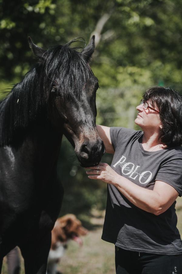 Pferdeidylle Direkt Neben Berlin In Dallgow Buitenkant foto